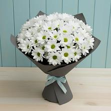 Букет цветов из:  Хризантемы #REPLACE_PRED# Новоульяновске