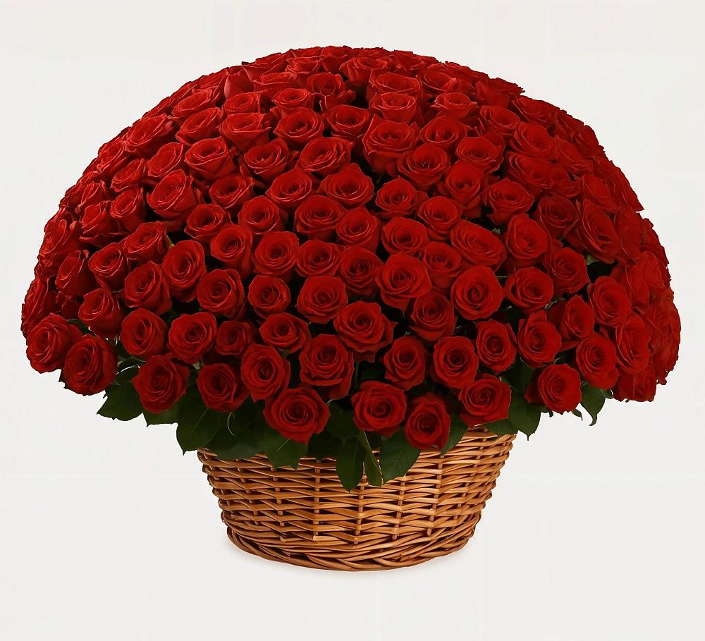 Премиум букет из: Розы в Новоульяновске