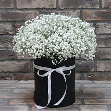 Цветочная композиция из Гипсофила в шляпной коробке в Новоульяновске