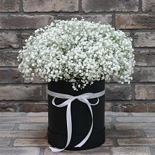 Цветочная композиция из Гипсофила в шляпной коробке в Новоульяновске